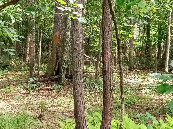 776 Pine Rd, Pikeville, TN 37367