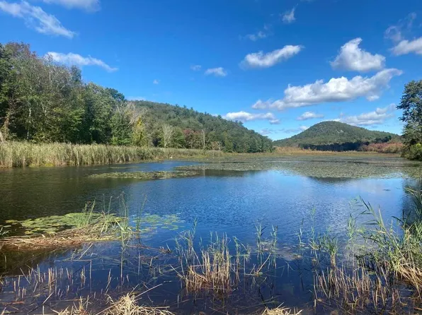 Bog Hollow Road, Wassaic, NY 12501
