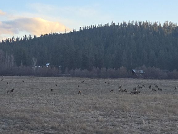 2nd image of 13XX Kitt Narcisse Rd