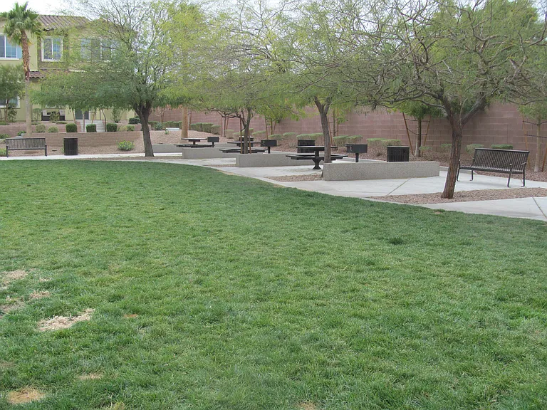 965 Nevada State Dr #11104 — Photo 40