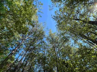 4630 State Highway 96 N, Jasper, TX 75951