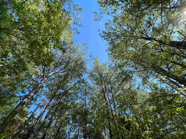 4630 State Highway 96 N, Jasper, TX 75951