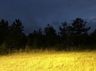 24 SE David Ln, Allenhurst, GA 31301