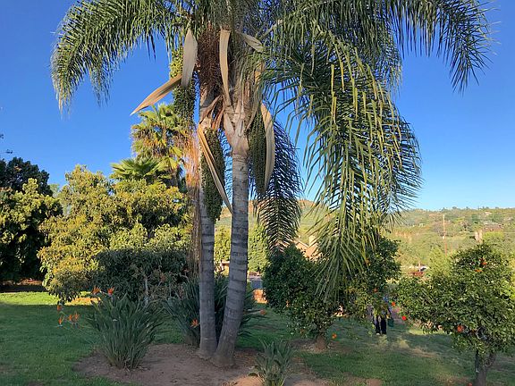 3rd image of 1673 Citrus Hills Ln