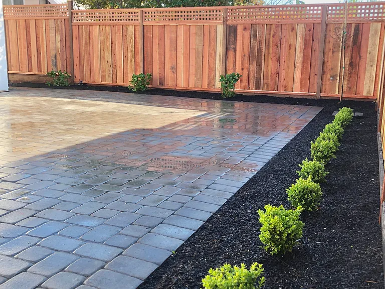 Patio Patio
