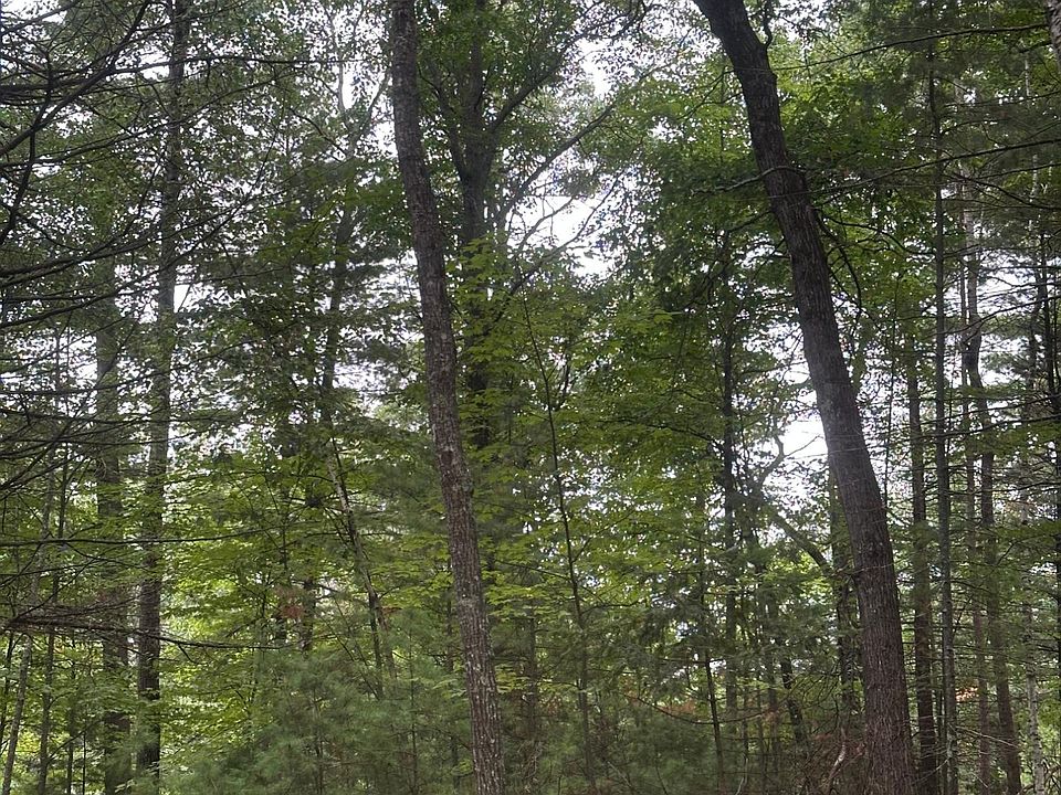 1st image of Near Sand Lake Rd