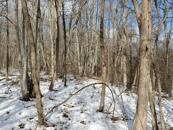 0 Jim Lackey Rd, Vinton, OH 45686
