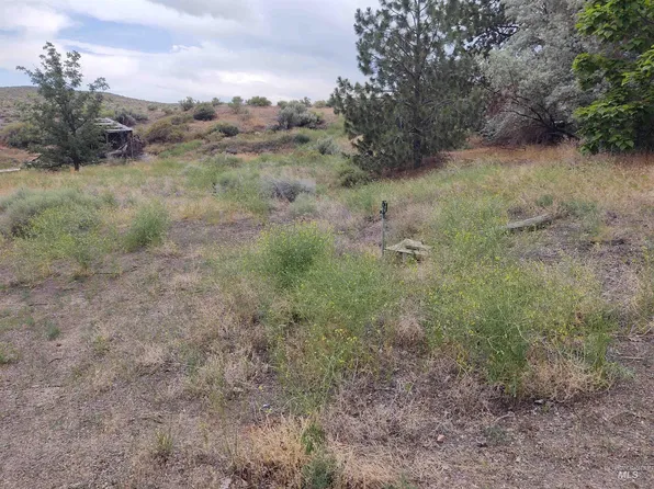 12923 Delamar Ave, Murphy, ID 83650