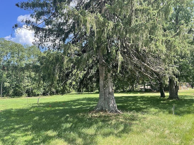 503 William St, Avoca, WI 53506 MLS 1939919 Zillow