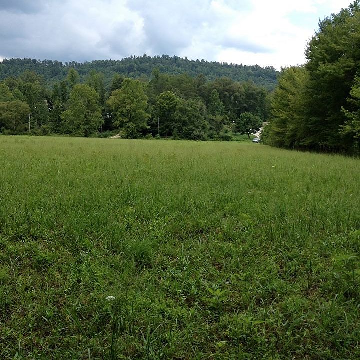 2nd image of Wooldridge Ln
