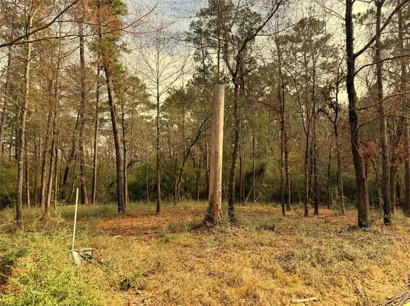 195 Walnut Cir, Trinity, TX 75862