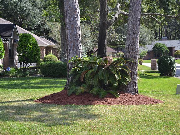 4th image of 1866 Plantation Oaks Dr