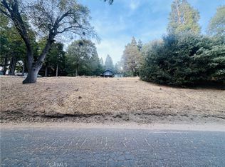 0 Mojave River Rd #49, Cedarpines Park, CA 92322