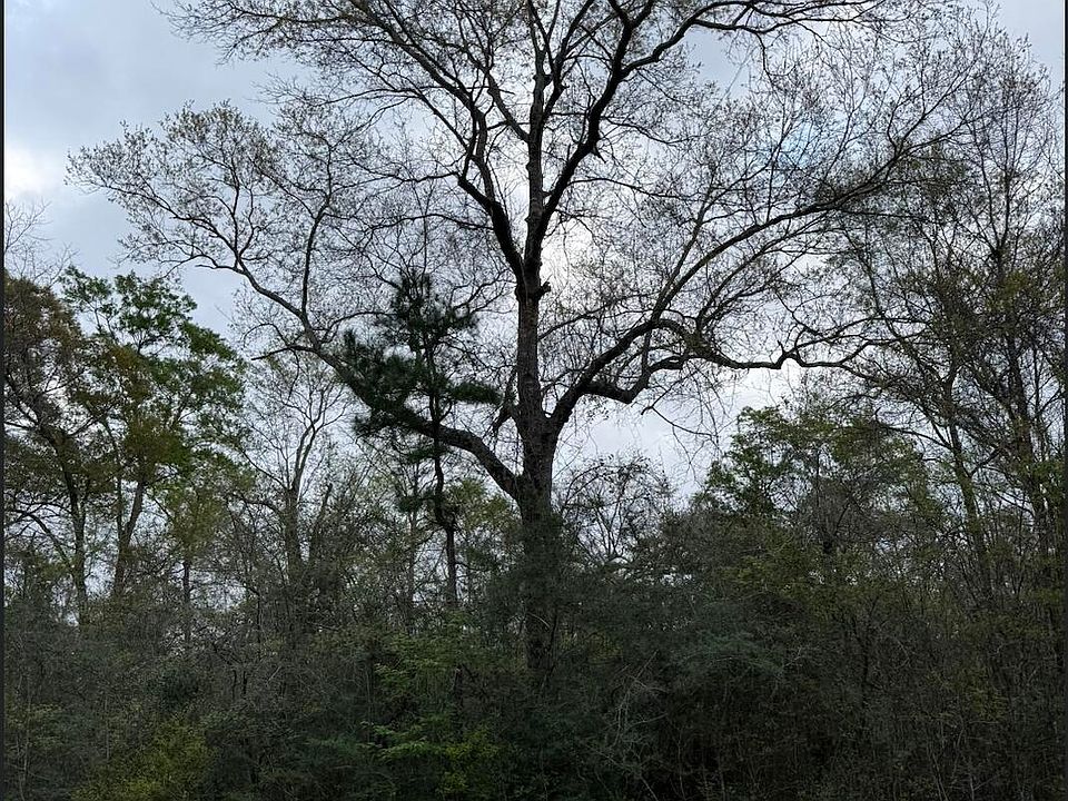 1st image of LOT 10 Northrup Cuevas Rd