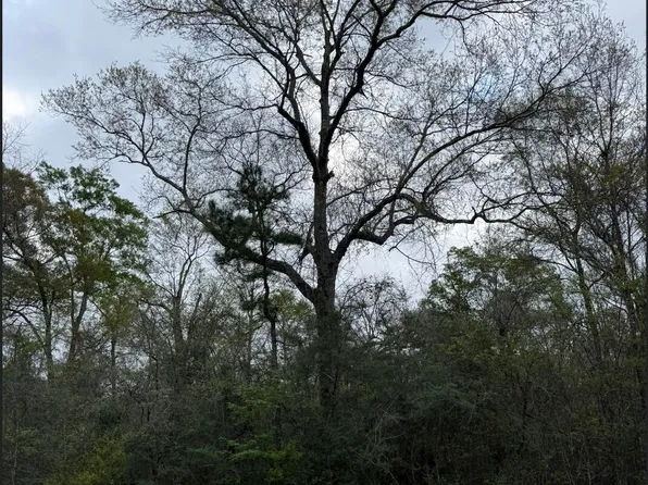 LOT 10 Northrup Cuevas Rd, Gulfport, MS 39503