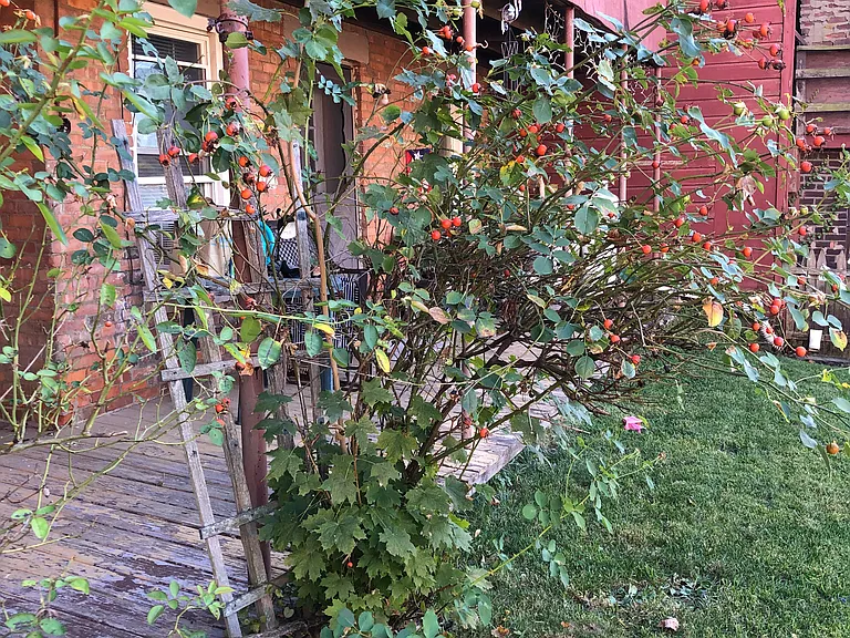 57 North St #1R — Photo 19