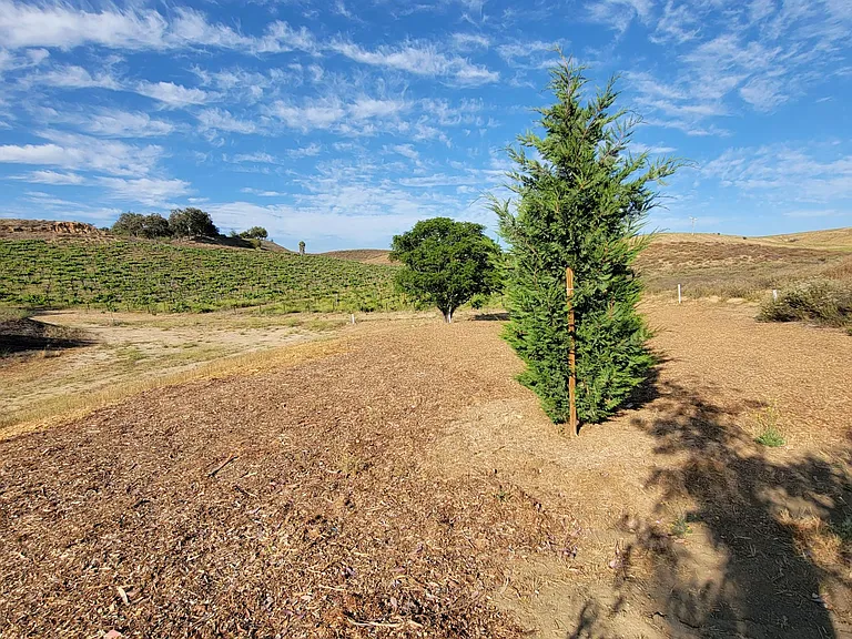32185 Vista Del Monte Rd — Photo 52