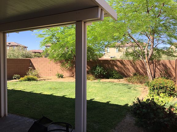 Lush back yard