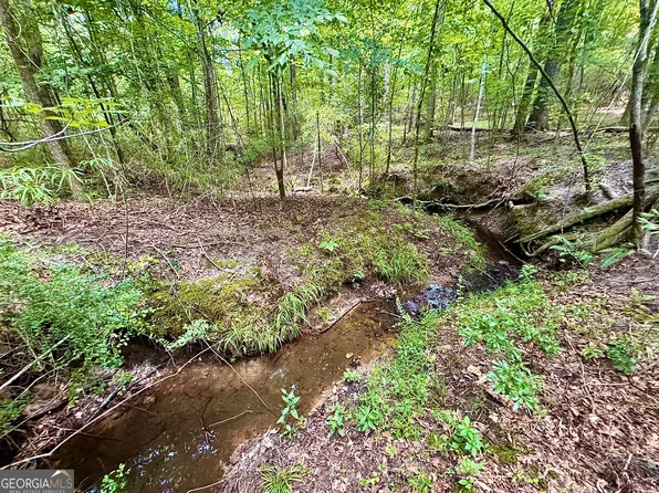 2 Roy Lawrence Rd, Sparta, GA 31087