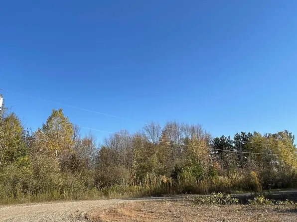 0 Homestead Ln, Imlay City, MI 48444