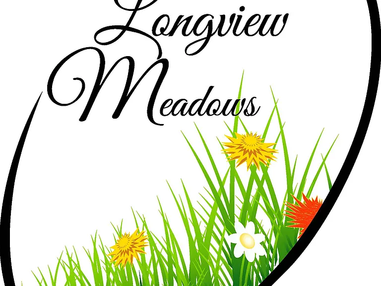Longview Meadows - Montgomery City MO — Photo 16