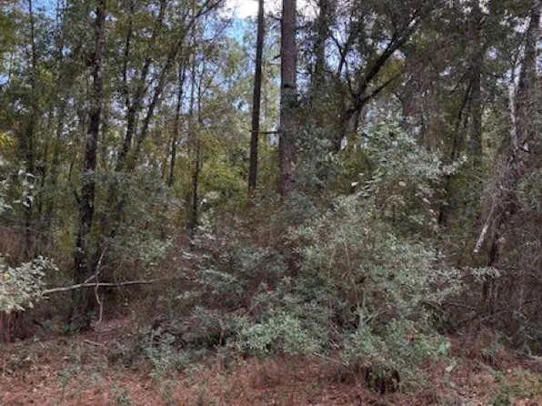 9500 Blk Bridlewood Rd, Pensacola, FL 32526