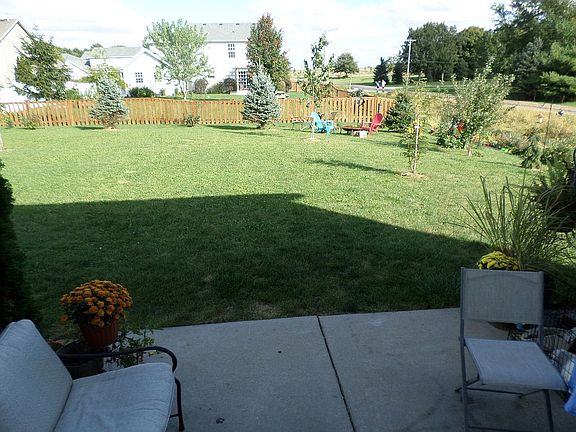 Shaded evening patio view