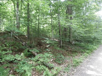 Lot 005 Hebo Hybo Road, Acton, ME, 04001
