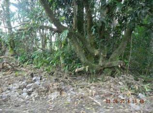 25th Ave LOT 84, Keaau, HI 96749