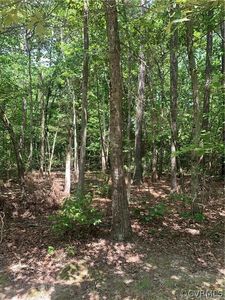 0 Route 601, Laneview, VA, 22504