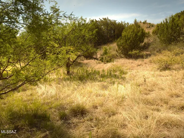 142 Tanglehead Ln Lot 28, Patagonia, AZ 85624