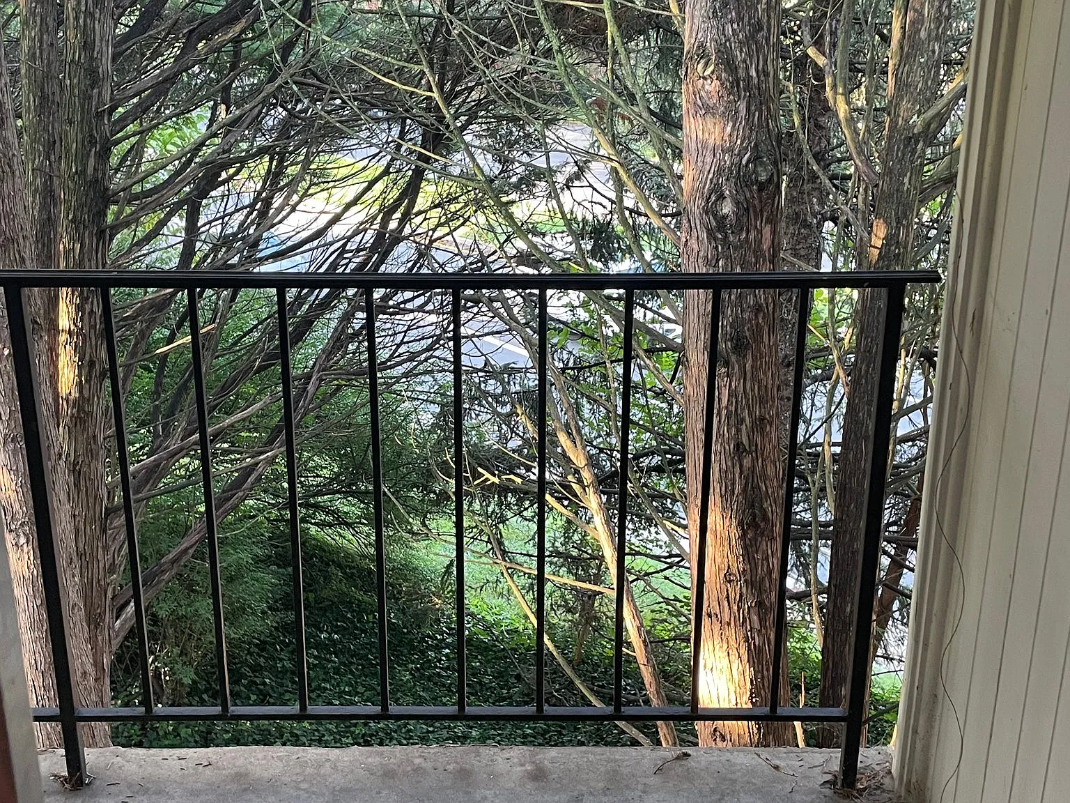 Secluded Condo Near UVA Law School and Barracks Road Shopping Center — Photo 4
