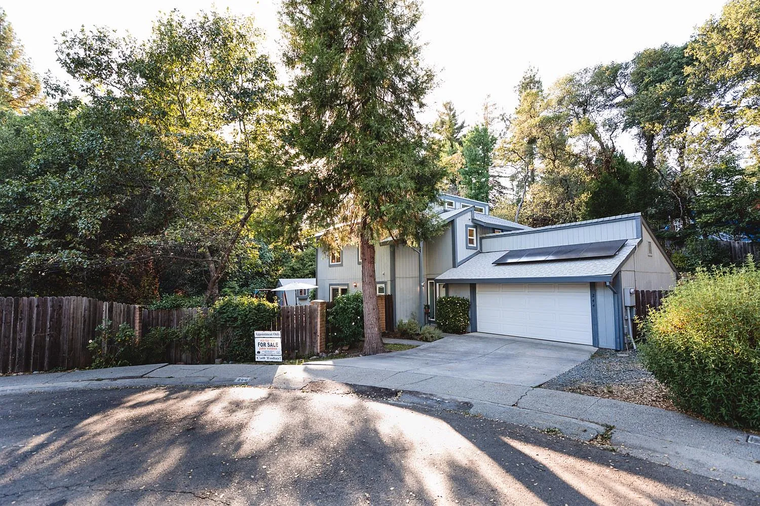 244 Forest Ct photo 1