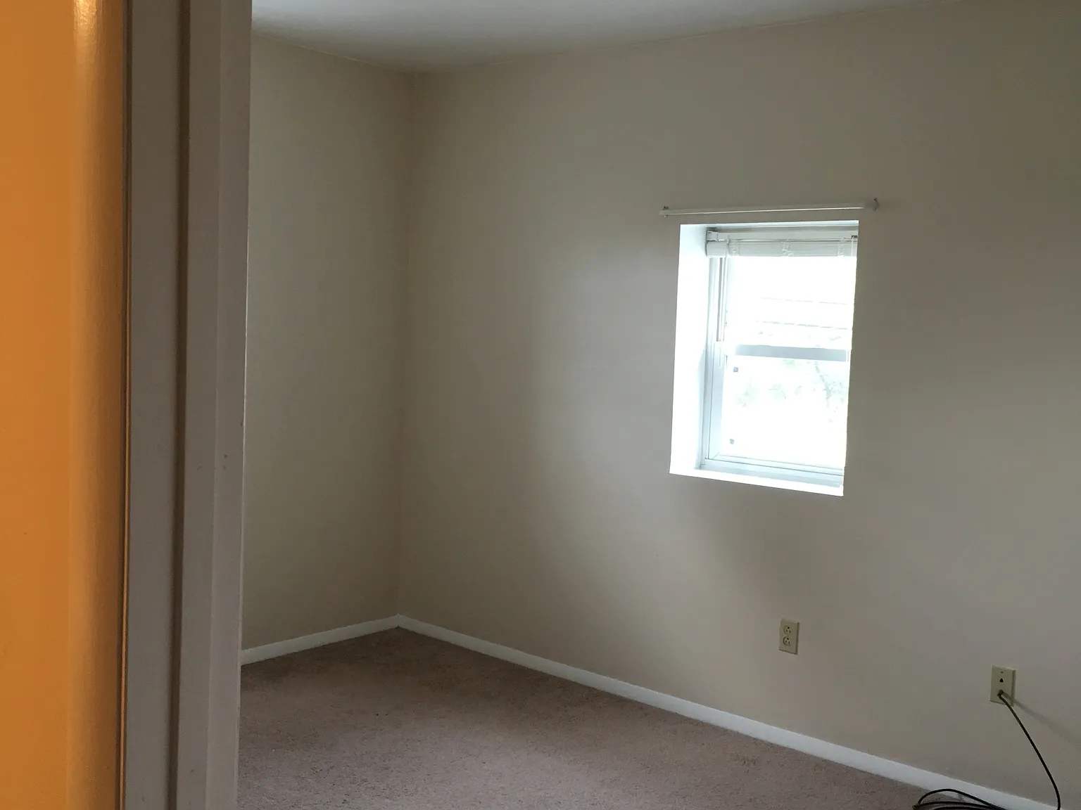 2 bed, $800 — Photo 4