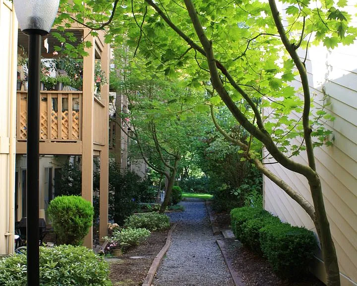 Willow Creek Apartments — Photo 22