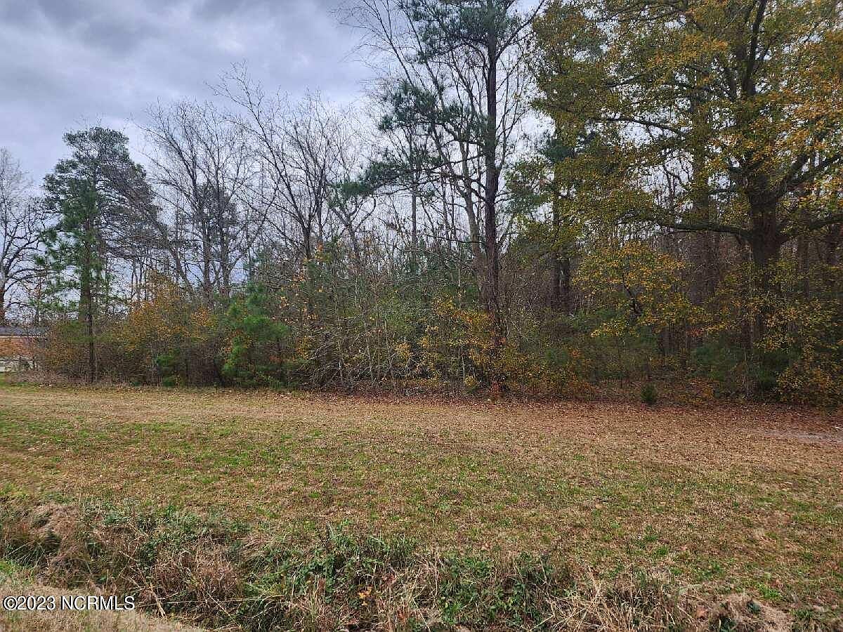 0 Nc111, Hobgood, NC 27843 MLS 100417237 Zillow