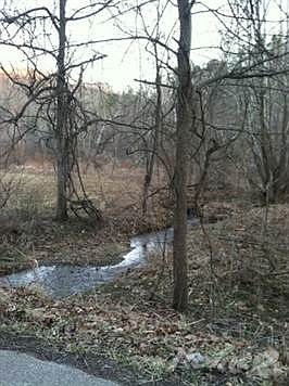 1705 Left Fork Cains Creek