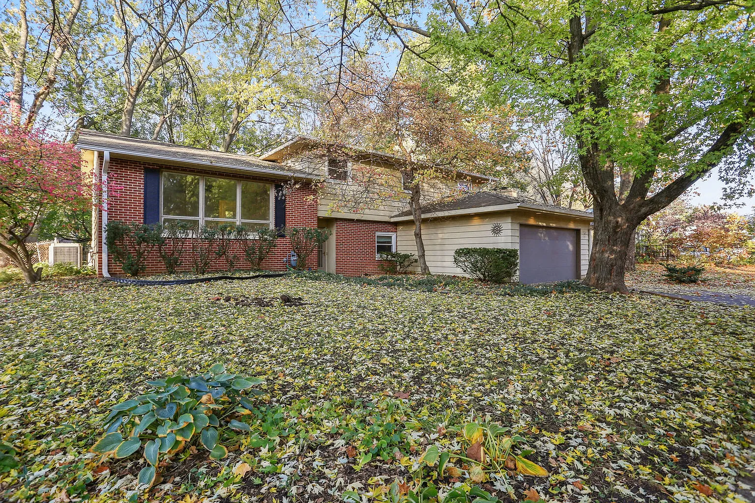 6 Bellamy Ct photo 1
