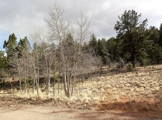 1299 Bridle Path, Hartsel, CO 80449