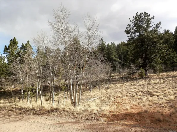 1299 Bridle Path, Hartsel, CO 80449