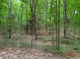 Satterly Lake Rd, Mancelona, MI 49659
