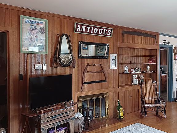 Fire place and built in bookshelf