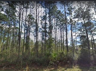 174 Jondabob Rd, Green Cove Springs, FL 32177