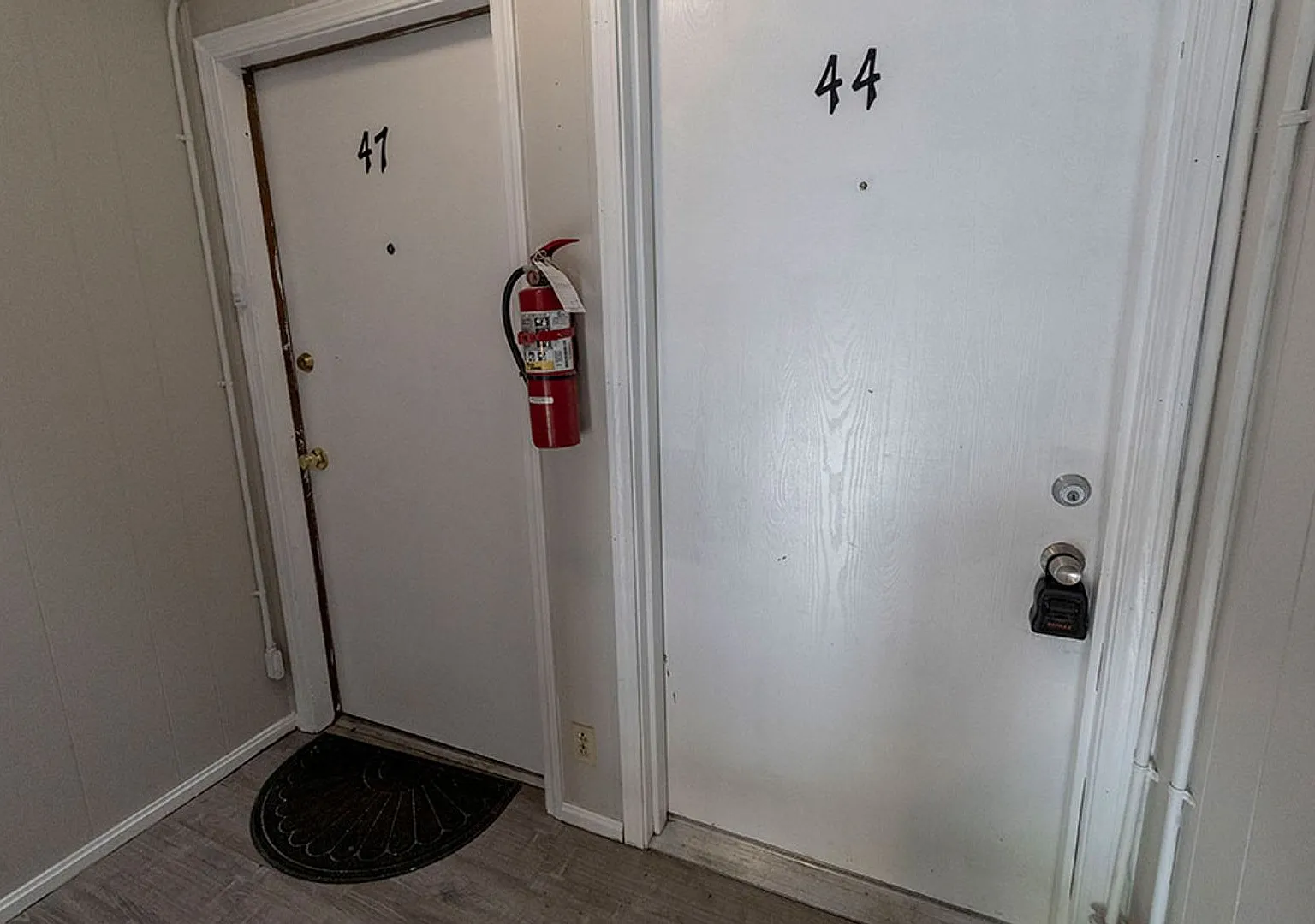 Cute Southside 1BD Apartment — Photo 4