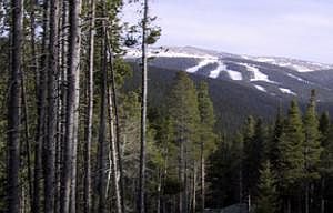 1st image of ELK TRAIL