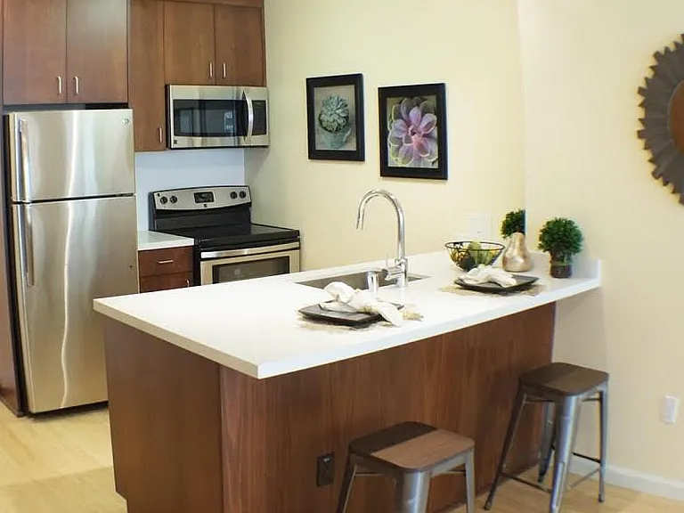 Addison Arts Apartments — Photo 6