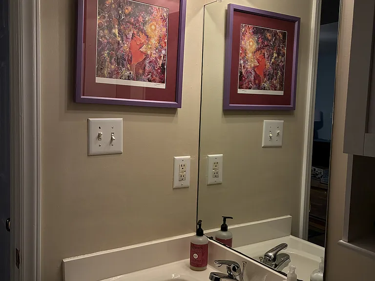 602 Red Fox Trl — Photo 35