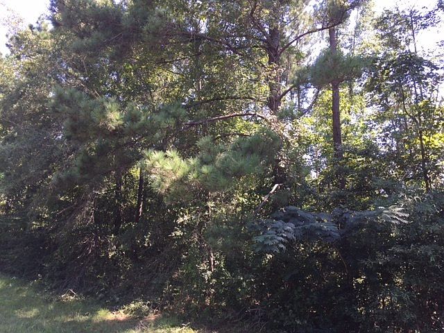 2nd image of W Moore Tower Rd