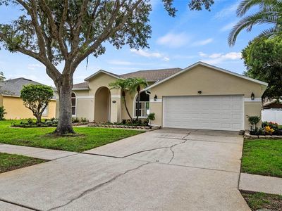 19811 WYNDHAM LAKES DRIVE, Odessa, FL, 33556