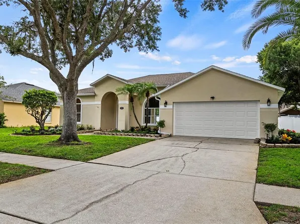 19811 Wyndham Lakes Dr, Odessa, FL 33556